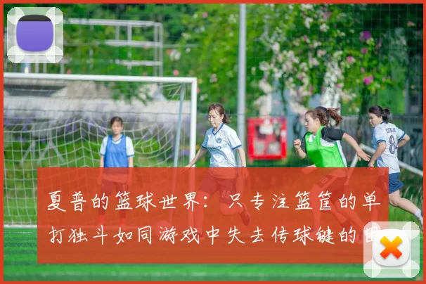 夏普的篮球世界：只专注篮筐的单打独斗如同游戏中失去传球键的困境