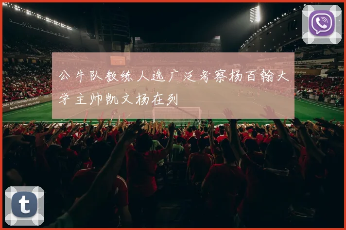 公牛队教练人选广泛考察杨百翰大学主帅凯文杨在列