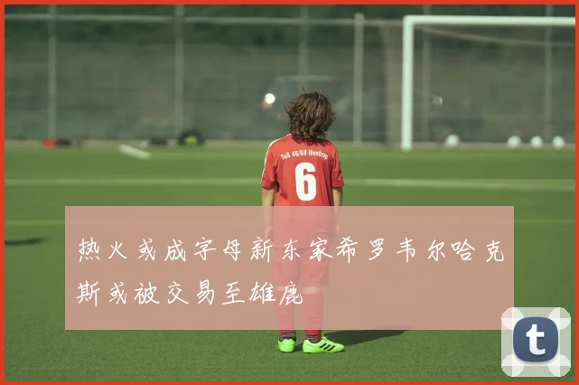 热火或成字母新东家希罗韦尔哈克斯或被交易至雄鹿